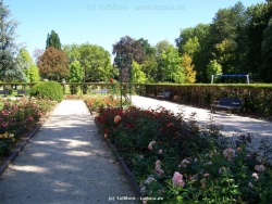 fotografie-30