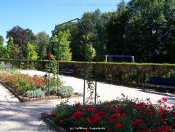 fotografie-37
