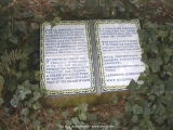 fotografie-11