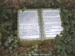 fotografie-11