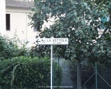 fotografie-7
