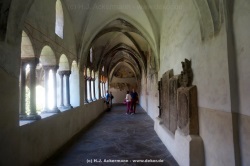 fotografie-1