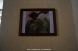 fotografie-18