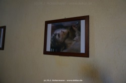 fotografie-20
