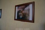fotografie-22