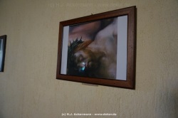 fotografie-22