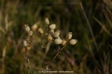 fotografie-46