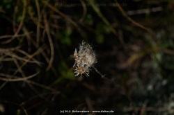 fotografie-48