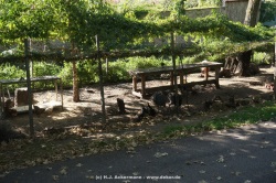 fotografie-12