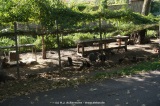 fotografie-12