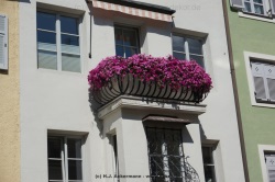 fotografie-5