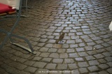 fotografie-30