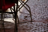 fotografie-8