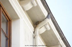 fotografie-12