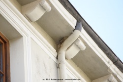 fotografie-163