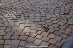 fotografie-56