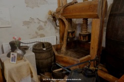 fotografie-16