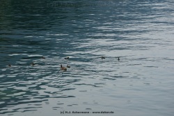 fotografie-12