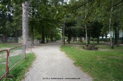 fotografie-6