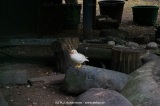 fotografie-9