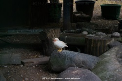 fotografie-9