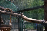 fotografie-11