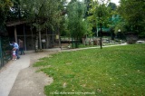 fotografie-65