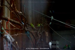 fotografie-128