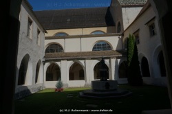 fotografie-56