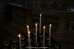 fotografie-152