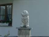 fotografie-4