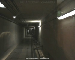 fotografie-66