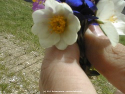 fotografie-15