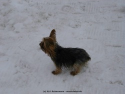 fotografie-41