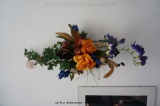 fotografie-16