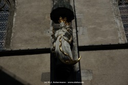 fotografie-27