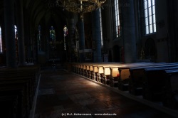 fotografie-36