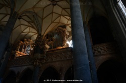 fotografie-63