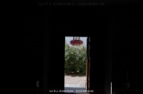 fotografie-5