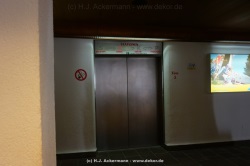 fotografie-156