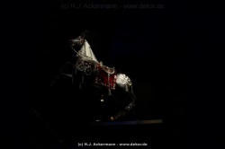 fotografie-58