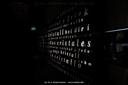 fotografie-45