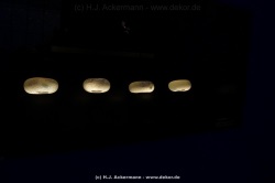 fotografie-135
