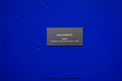 fotografie-12