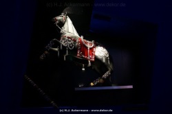 fotografie-34