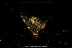 fotografie-42