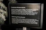 fotografie-16