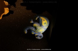 fotografie-22