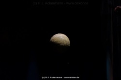 fotografie-45