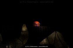 fotografie-136